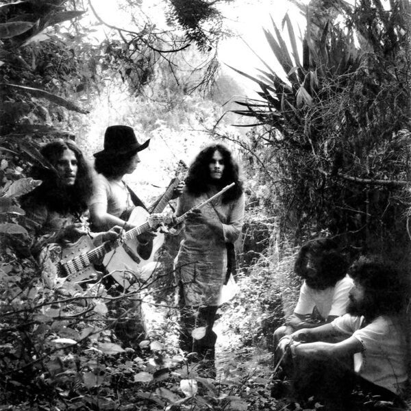 En el Bosque